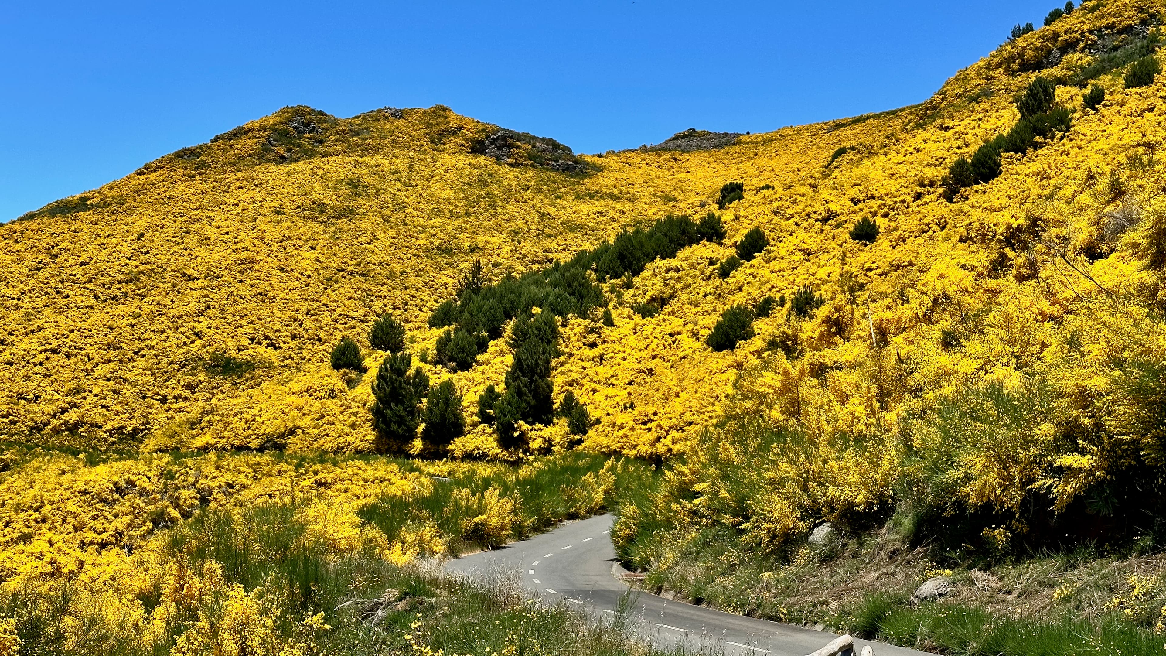 Foto principal da paisagem da proposta